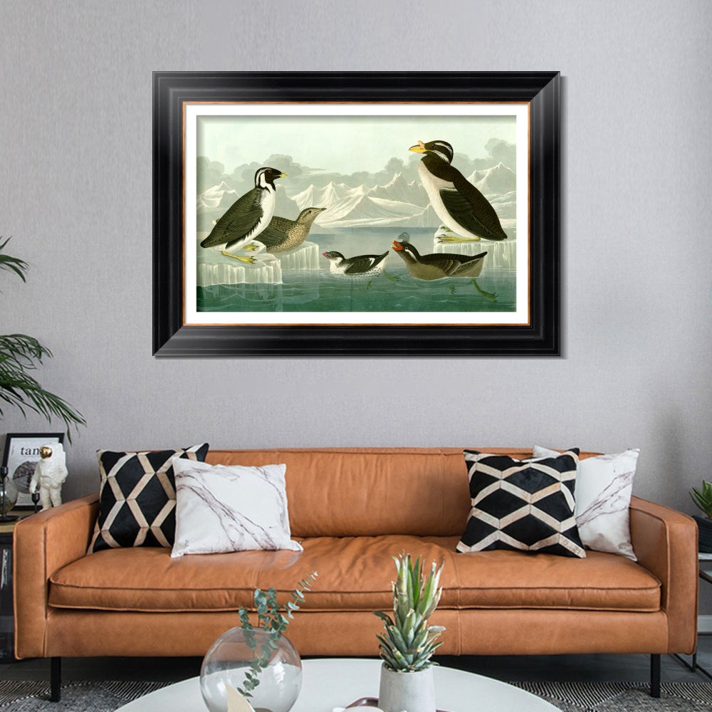 INVIN ART Framed Canvas Art Giclee Print Nobbed billed Auk by John James Audubon  Home Office Wall Art Decorations