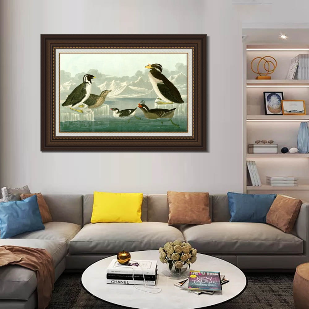 INVIN ART Framed Canvas Art Giclee Print Nobbed billed Auk by John James Audubon  Home Office Wall Art Decorations