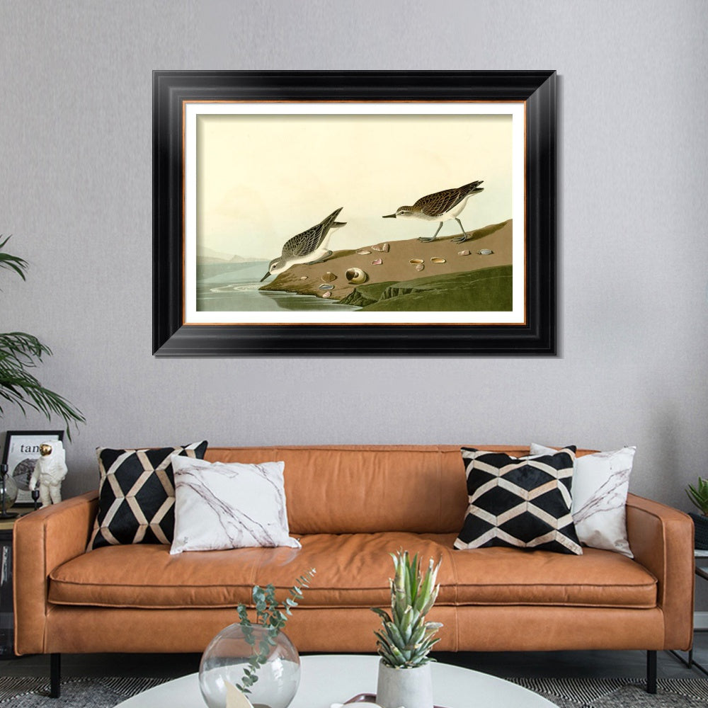 INVIN ART Framed Canvas Art Giclee Print Series#111 by John James Audubon Living Room Home Office Wall Art Decorations
