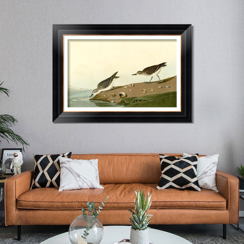 INVIN ART Framed Canvas Art Giclee Print Series#111 by John James Audubon Living Room Home Office Wall Art Decorations