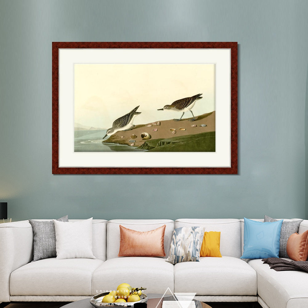 INVIN ART Framed Canvas Art Giclee Print Series#111 by John James Audubon Living Room Home Office Wall Art Decorations
