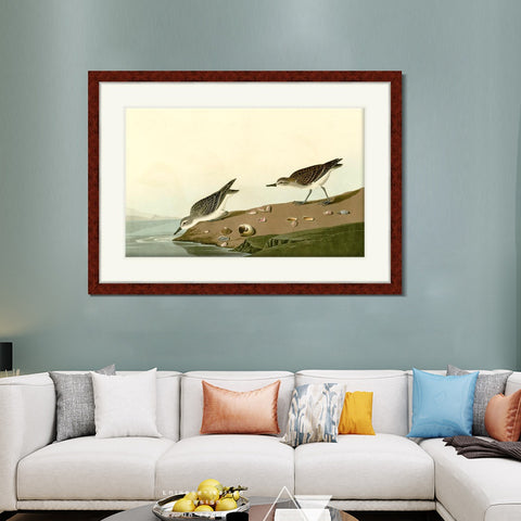INVIN ART Framed Canvas Art Giclee Print Series#111 by John James Audubon Living Room Home Office Wall Art Decorations