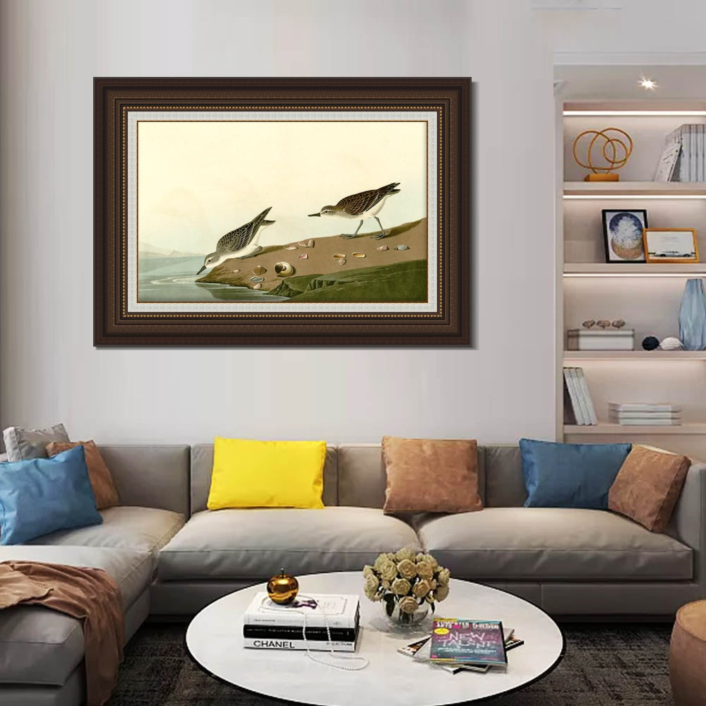 INVIN ART Framed Canvas Art Giclee Print Series#111 by John James Audubon Living Room Home Office Wall Art Decorations