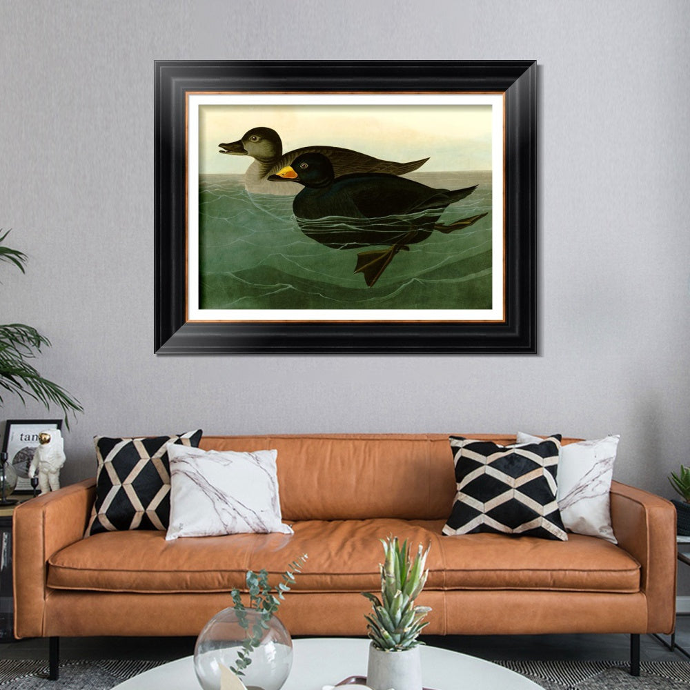 INVIN ART Framed Canvas Art Giclee Print American Scoter Duck by John James Audubon  Home Office Wall Art Decorations