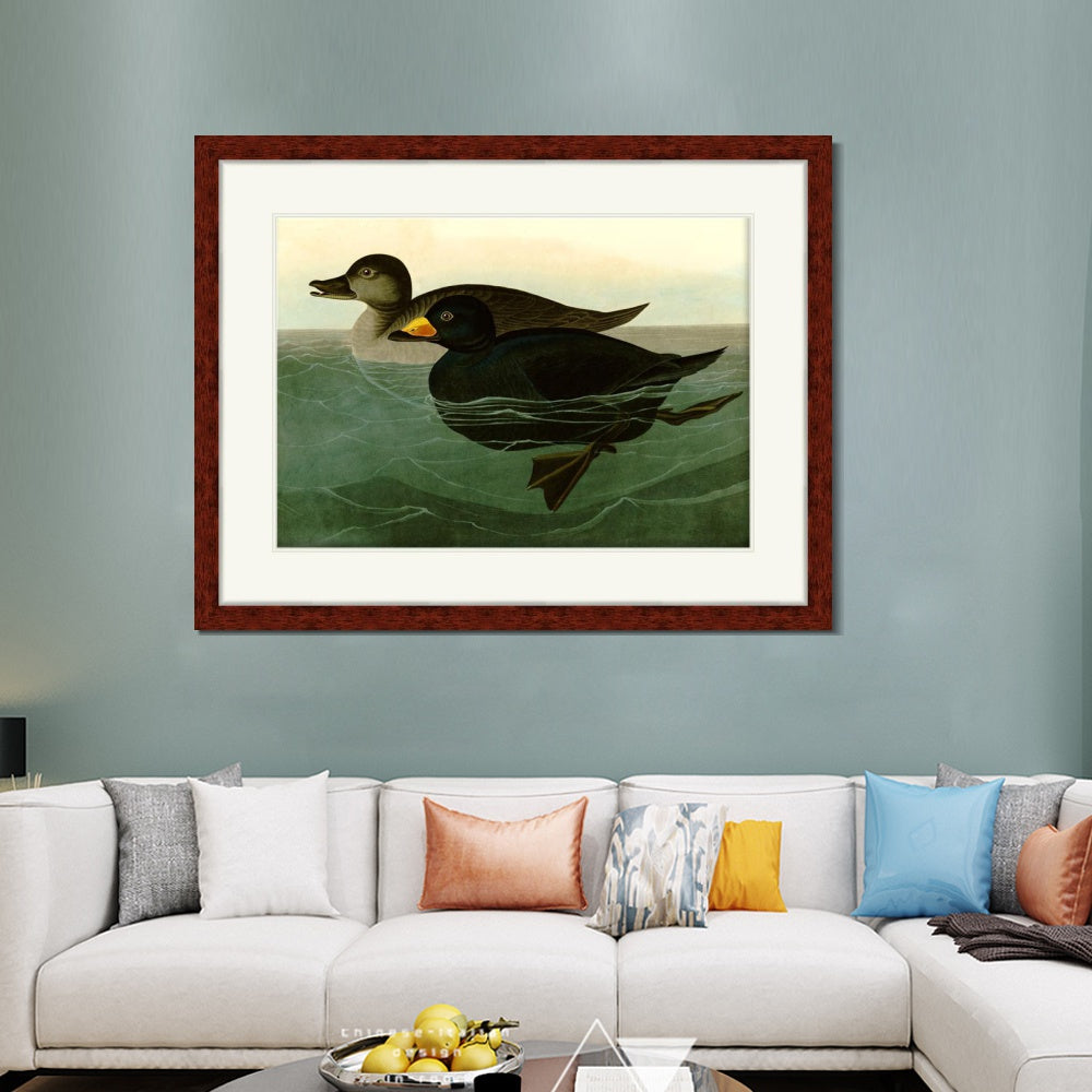 INVIN ART Framed Canvas Art Giclee Print American Scoter Duck by John James Audubon  Home Office Wall Art Decorations