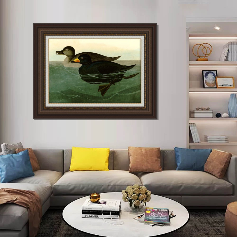 INVIN ART Framed Canvas Art Giclee Print American Scoter Duck by John James Audubon  Home Office Wall Art Decorations