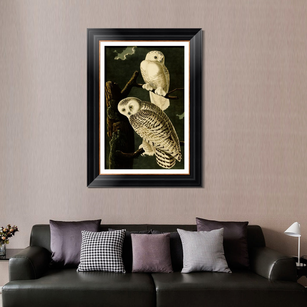 INVIN ART Framed Canvas Art Giclee Print Snowy Owl by John James Audubon  Home Office Wall Art Decorations