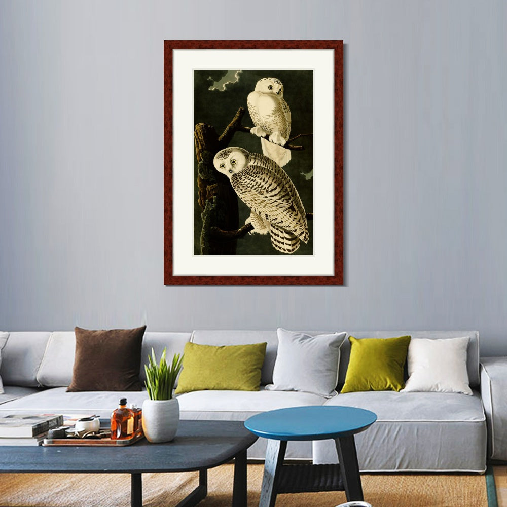 INVIN ART Framed Canvas Art Giclee Print Snowy Owl by John James Audubon  Home Office Wall Art Decorations