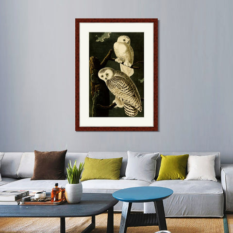 INVIN ART Framed Canvas Art Giclee Print Snowy Owl by John James Audubon Living Room Home Office Wall Art Decorations