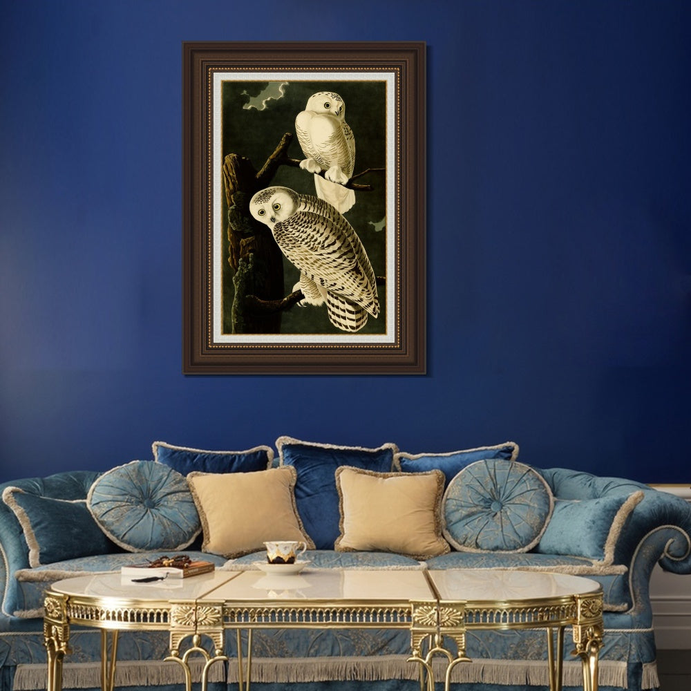 INVIN ART Framed Canvas Art Giclee Print Snowy Owl by John James Audubon  Home Office Wall Art Decorations