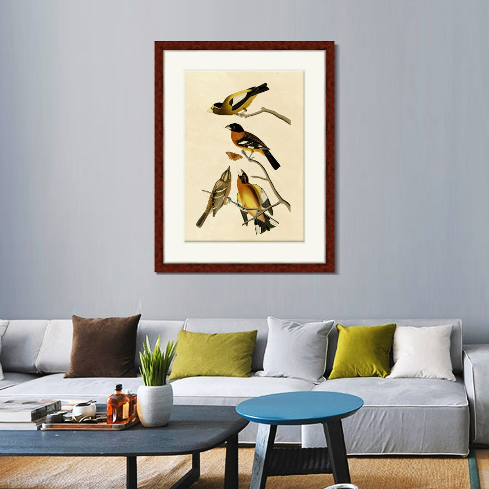 INVIN ART Framed Canvas Art Giclee Print Series#115 by John James Audubon  Home Office Wall Art Decorations