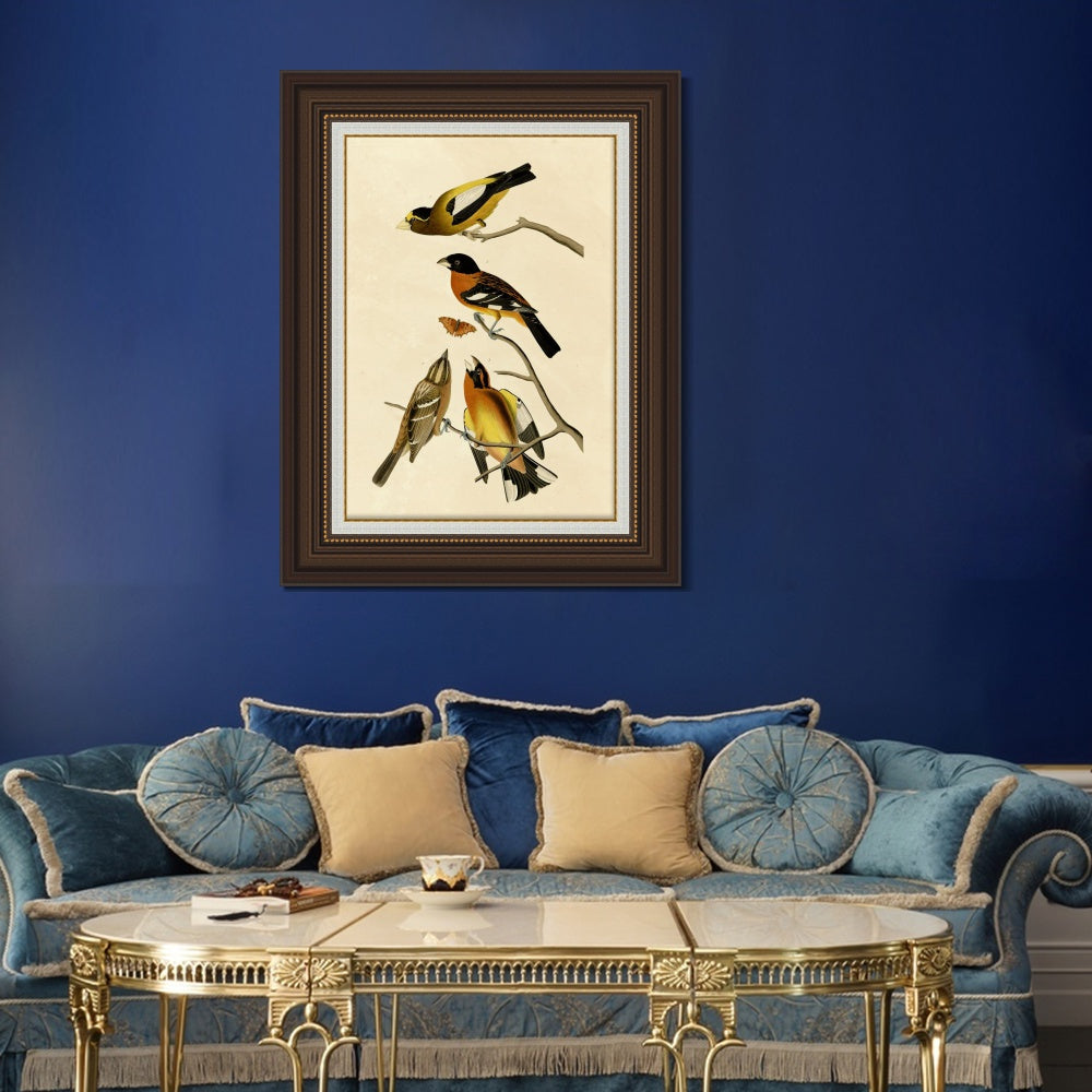 INVIN ART Framed Canvas Art Giclee Print Series#115 by John James Audubon  Home Office Wall Art Decorations