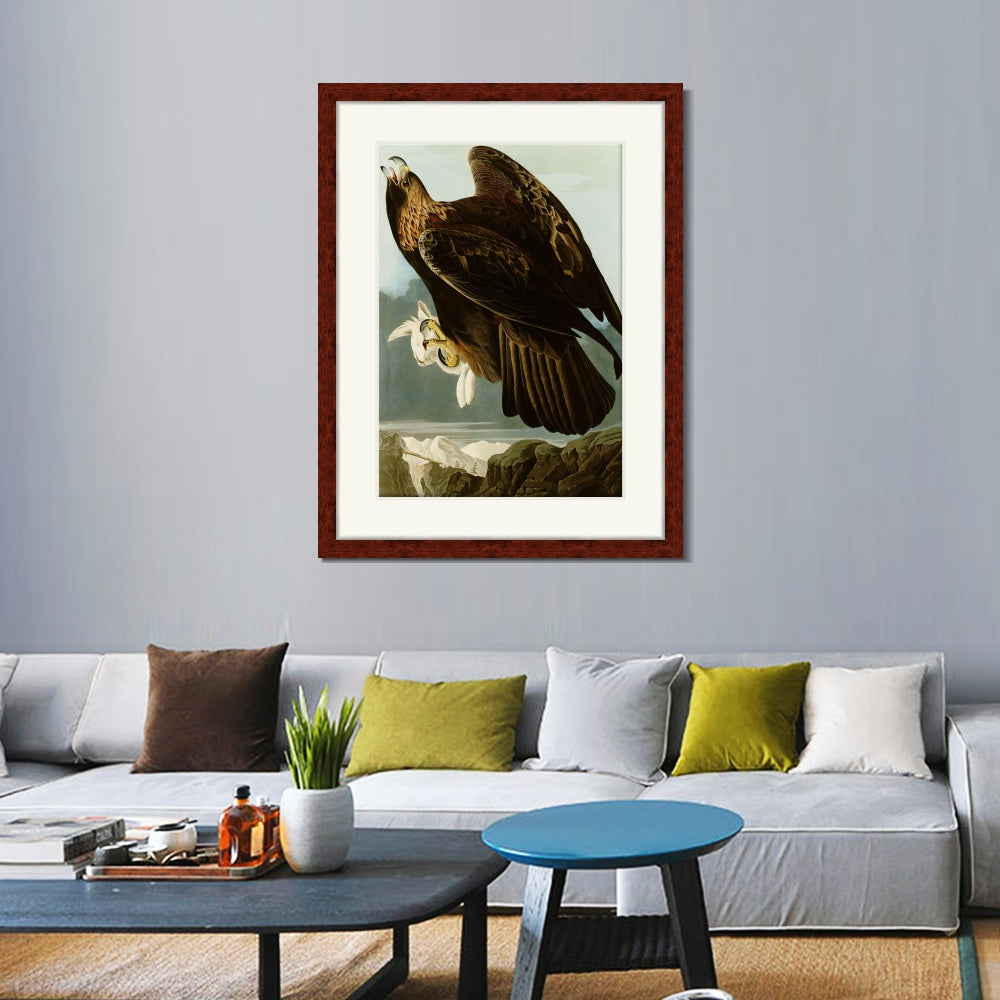 INVIN ART Framed Canvas Art Giclee Print Series#118 by John James Audubon  Home Office Wall Art Decorations