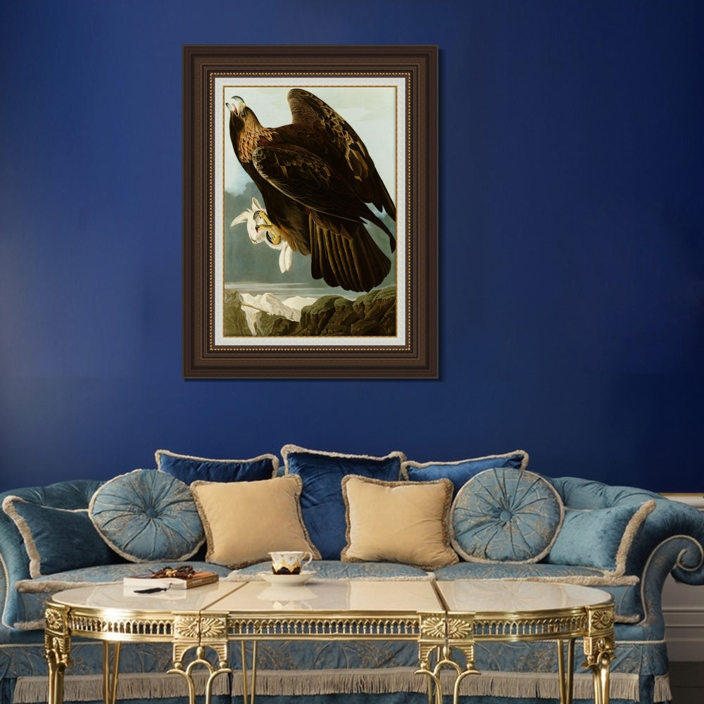 INVIN ART Framed Canvas Art Giclee Print Series#118 by John James Audubon  Home Office Wall Art Decorations