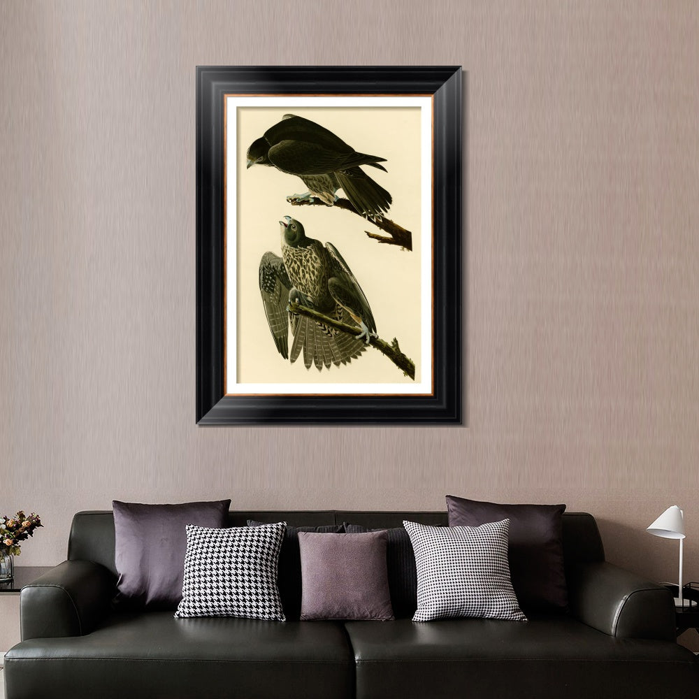 INVIN ART Framed Canvas Art Giclee Print Series#119 by John James Audubon  Home Office Wall Art Decorations