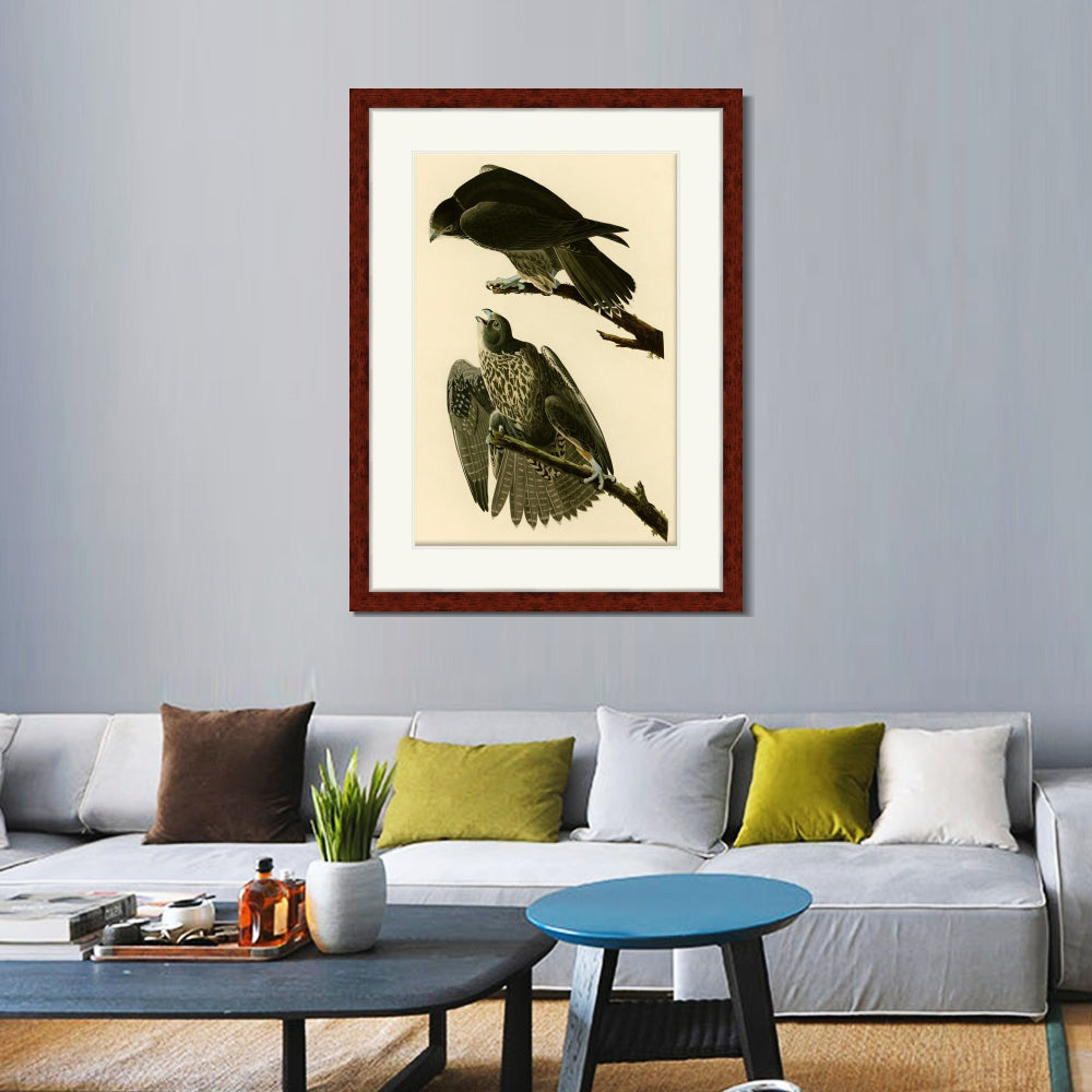 INVIN ART Framed Canvas Art Giclee Print Series#119 by John James Audubon  Home Office Wall Art Decorations
