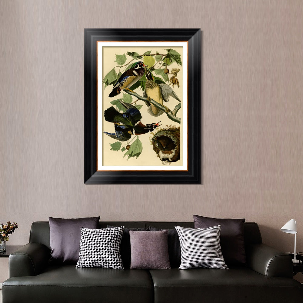 INVIN ART Framed Canvas Art Giclee Print Summer or Wood Duck by John James Audubon  Home Office Wall Art Decorations