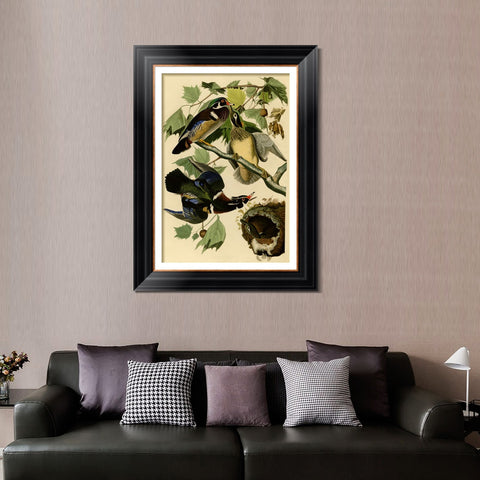INVIN ART Framed Canvas Art Giclee Print Summer or Wood Duck by John James Audubon Living Room Home Office Wall Art Decorations