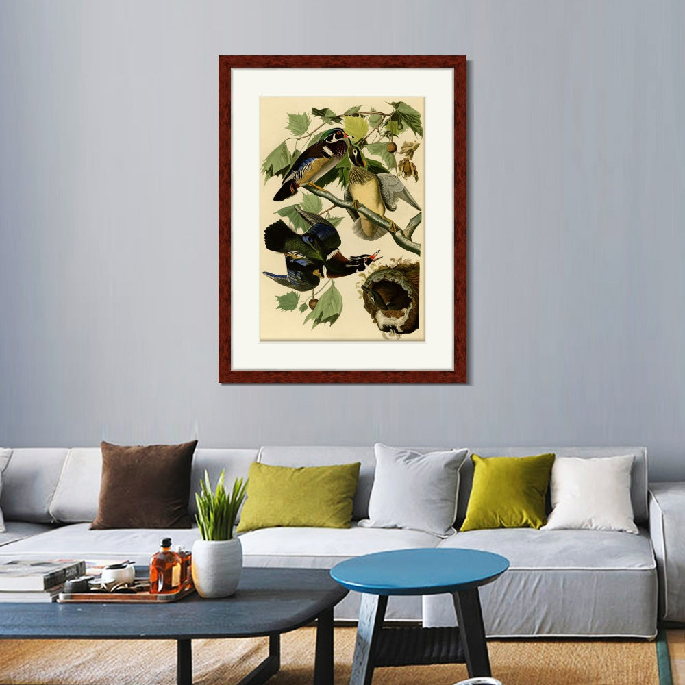 INVIN ART Framed Canvas Art Giclee Print Summer or Wood Duck by John James Audubon  Home Office Wall Art Decorations