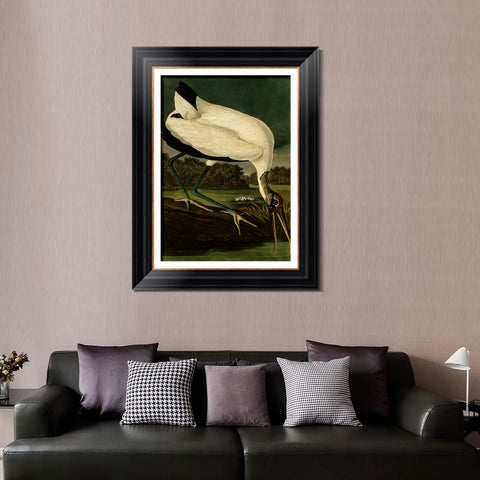 INVIN ART Framed Canvas Art Giclee Print Series#121 by John James Audubon Living Room Home Office Wall Art Decorations