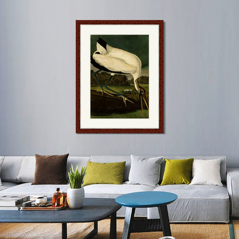 INVIN ART Framed Canvas Art Giclee Print Series#121 by John James Audubon Living Room Home Office Wall Art Decorations
