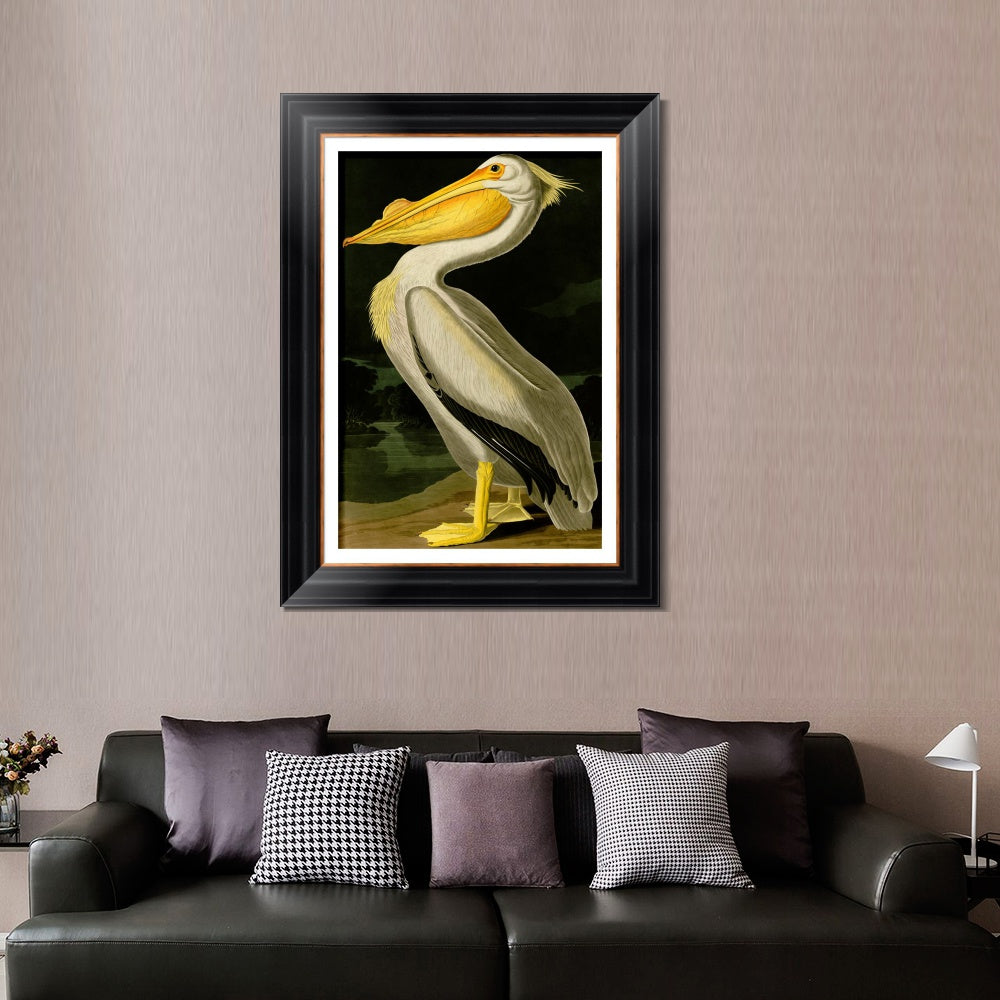 INVIN ART Framed Canvas Art Giclee Print American White Pelican by John James Audubon  Home Office Wall Art Decorations