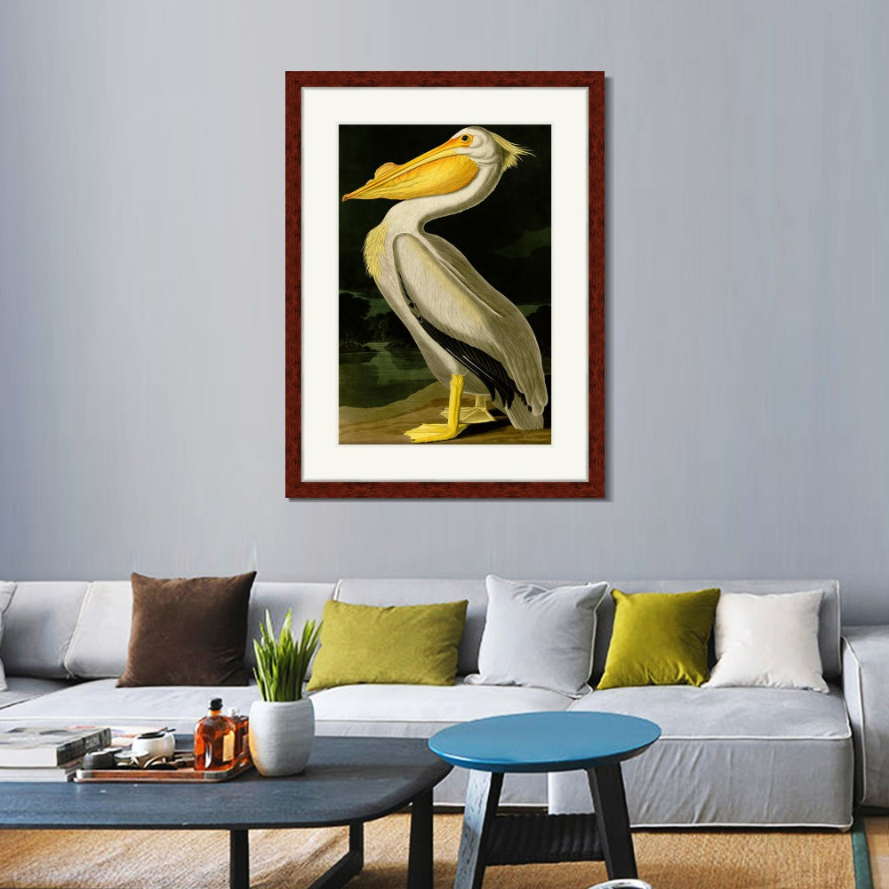 INVIN ART Framed Canvas Art Giclee Print American White Pelican by John James Audubon  Home Office Wall Art Decorations