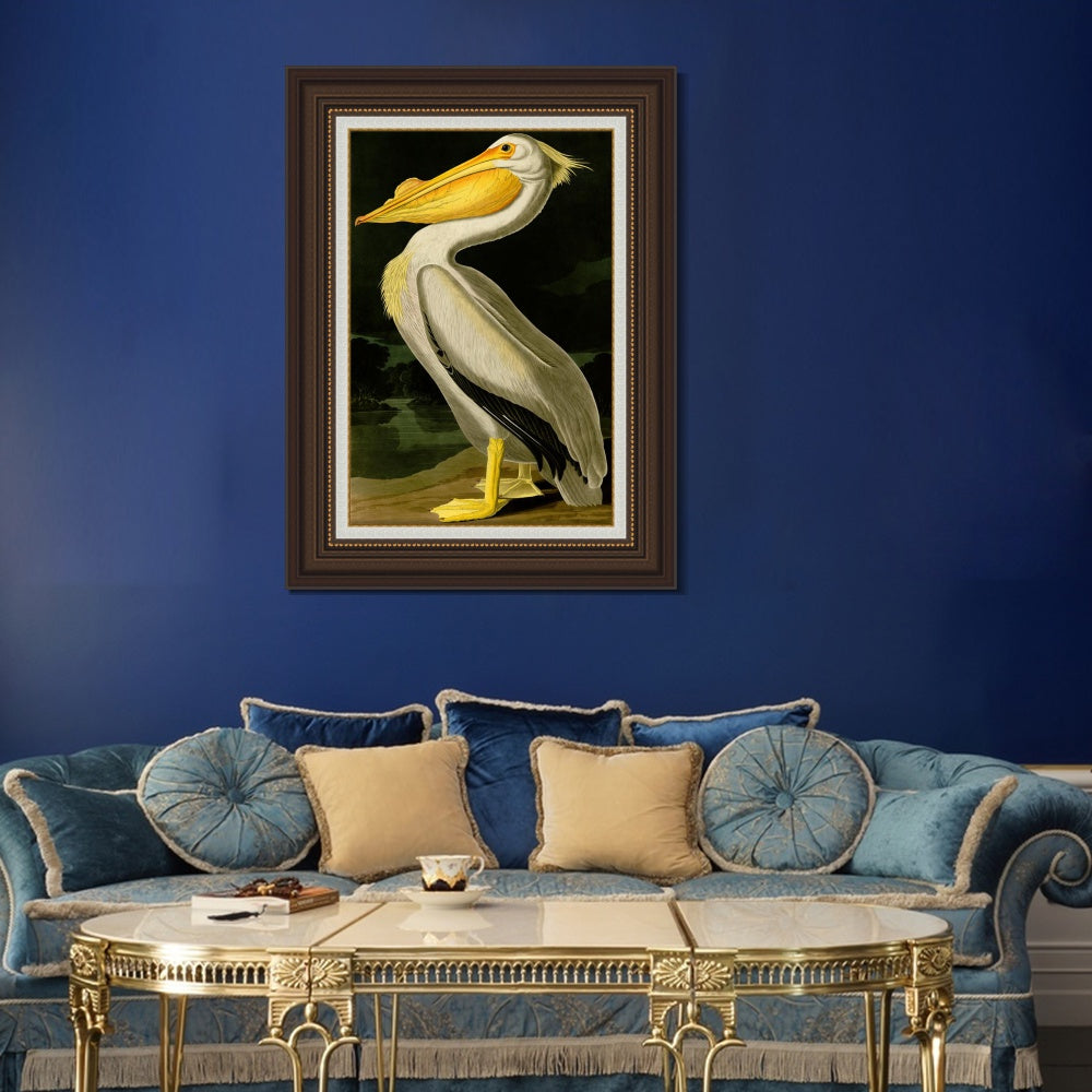 INVIN ART Framed Canvas Art Giclee Print American White Pelican by John James Audubon  Home Office Wall Art Decorations