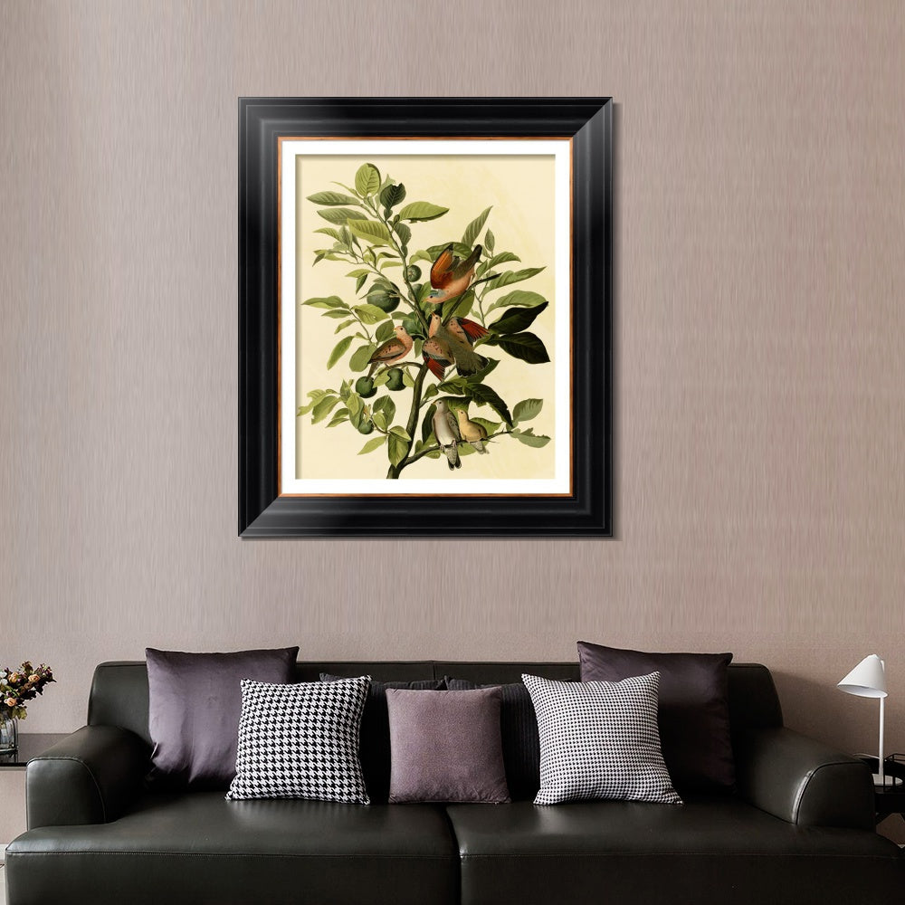 INVIN ART Framed Canvas Art Giclee Print Ground Dove by John James Audubon  Home Office Wall Art Decorations