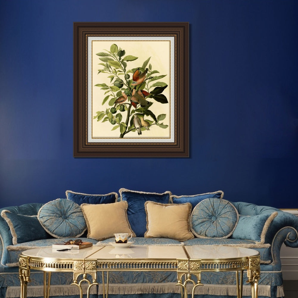 INVIN ART Framed Canvas Art Giclee Print Ground Dove by John James Audubon  Home Office Wall Art Decorations