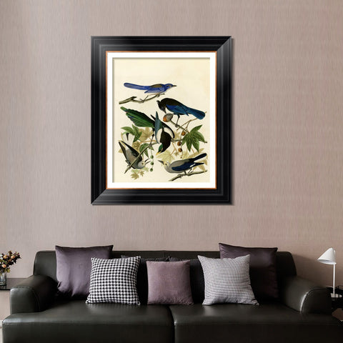 INVIN ART Framed Canvas Art Giclee Print Series#124 by John James Audubon Living Room Home Office Wall Art Decorations