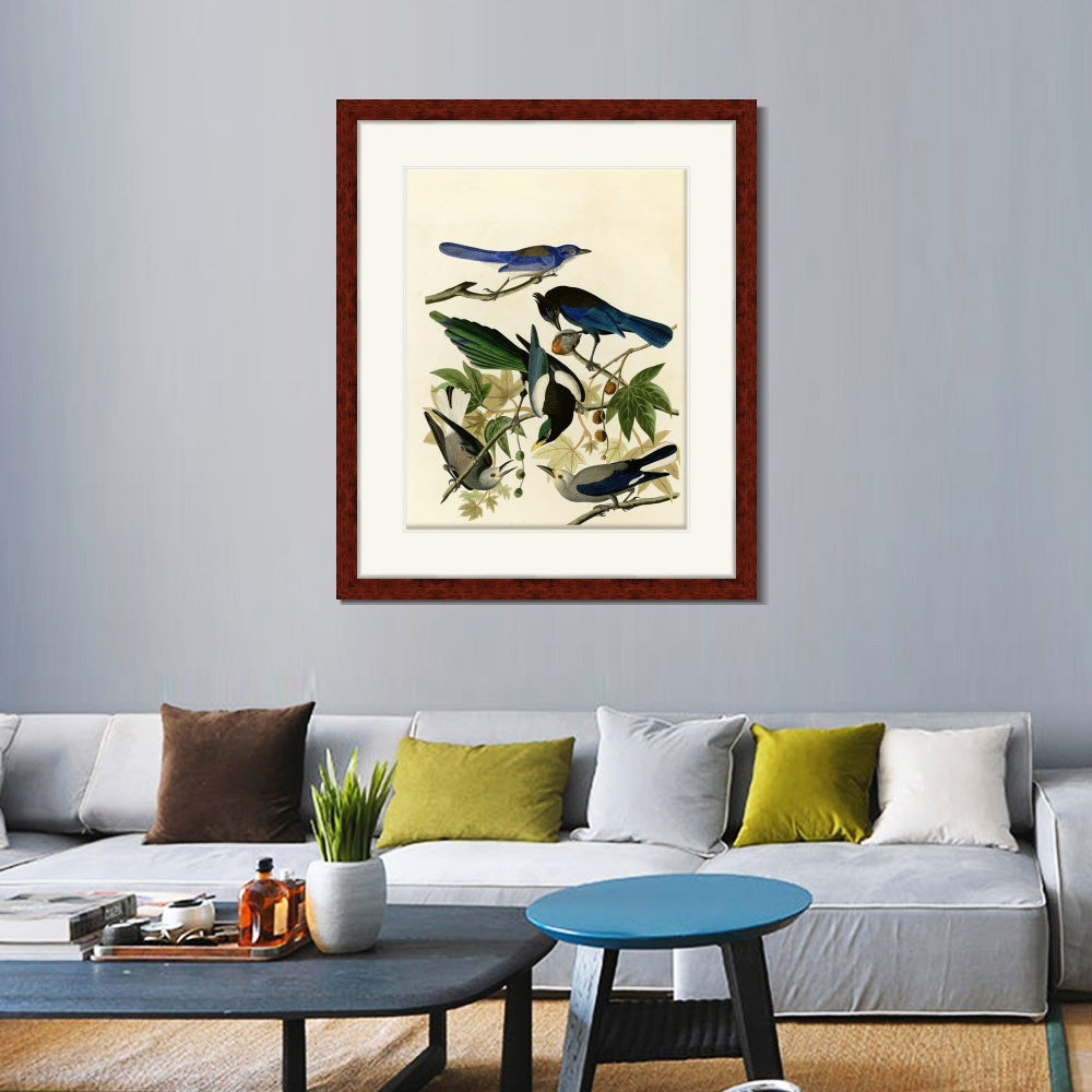 INVIN ART Framed Canvas Art Giclee Print Series#124 by John James Audubon  Home Office Wall Art Decorations