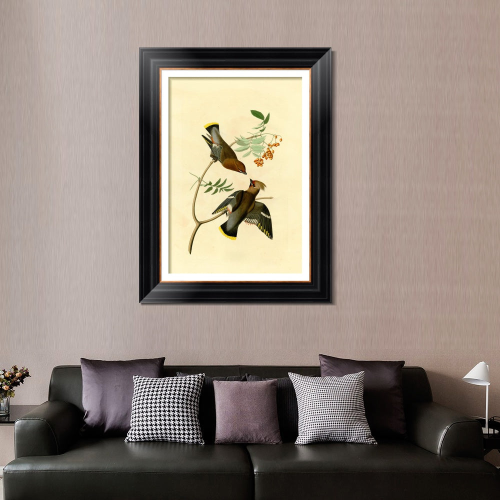 INVIN ART Framed Canvas Art Giclee Print Series#125 by John James Audubon  Home Office Wall Art Decorations