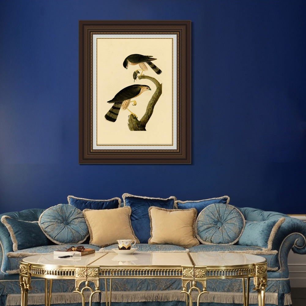 INVIN ART Framed Canvas Art Giclee Print Sharp shinned Hawk by John James Audubon  Home Office Wall Art Decorations