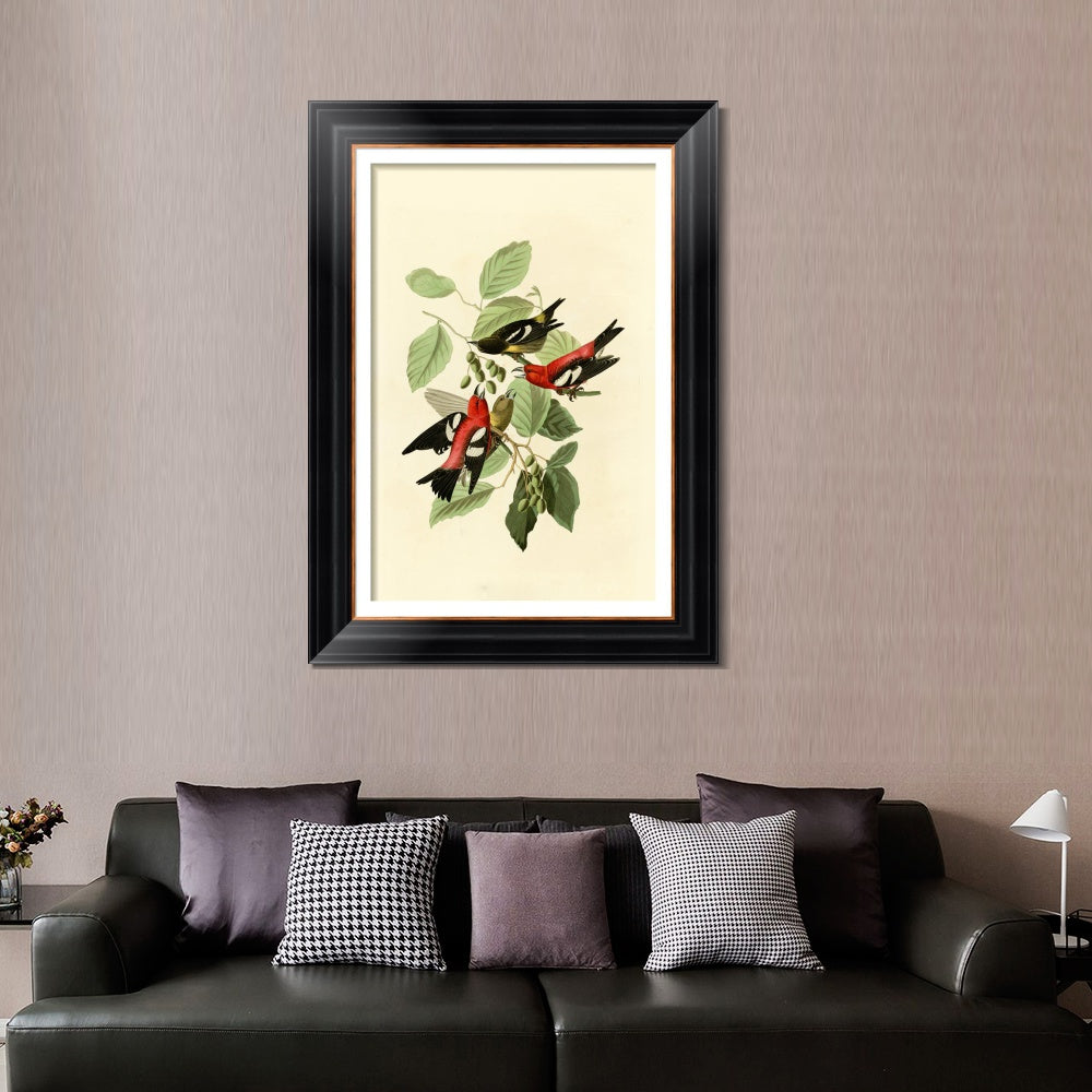 INVIN ART Framed Canvas Art Giclee Print White winged Crossbill by John James Audubon  Home Office Wall Art Decorations