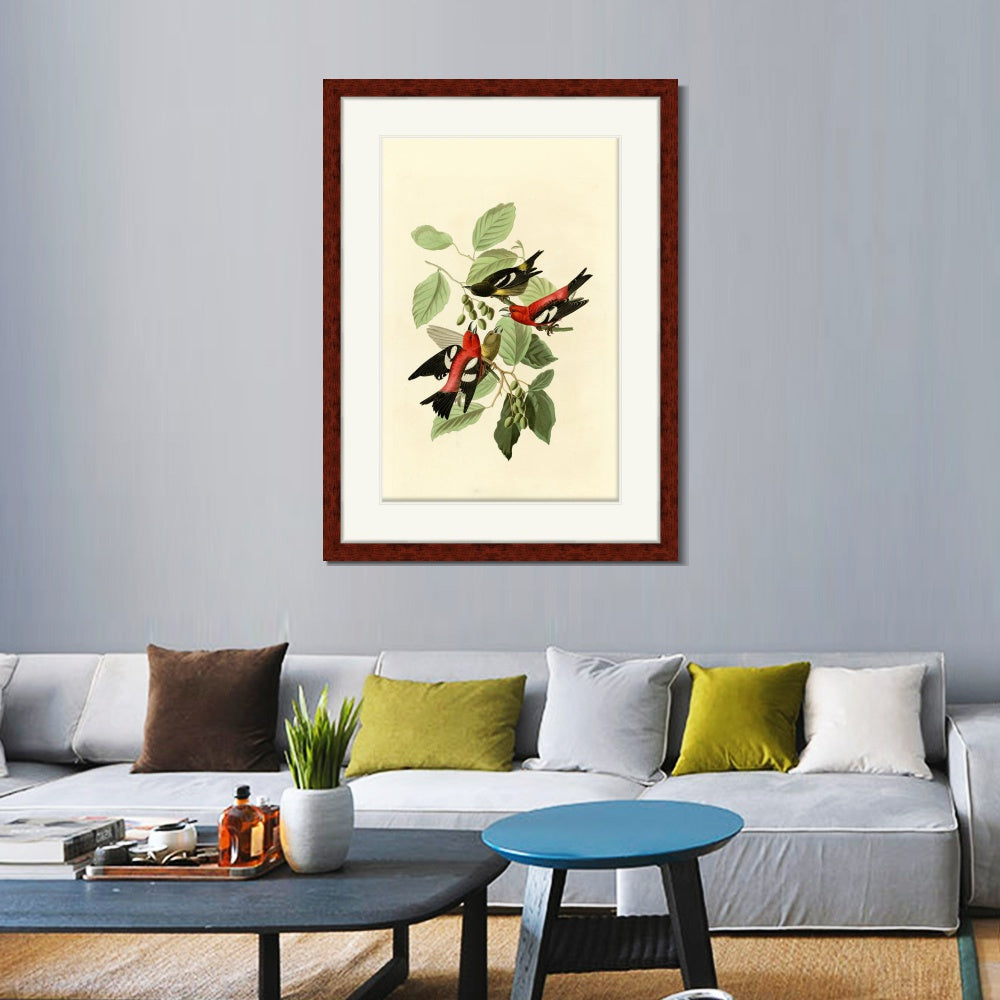 INVIN ART Framed Canvas Art Giclee Print White winged Crossbill by John James Audubon  Home Office Wall Art Decorations