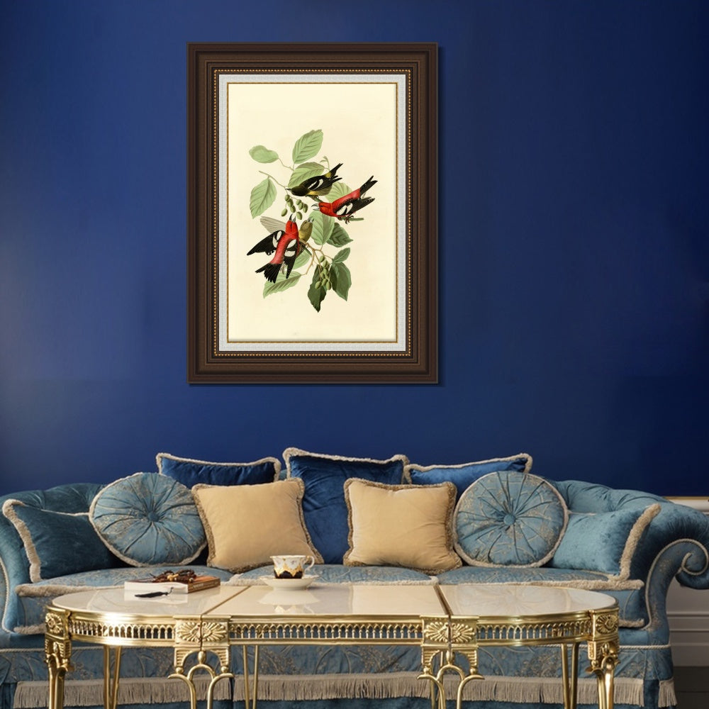 INVIN ART Framed Canvas Art Giclee Print White winged Crossbill by John James Audubon  Home Office Wall Art Decorations