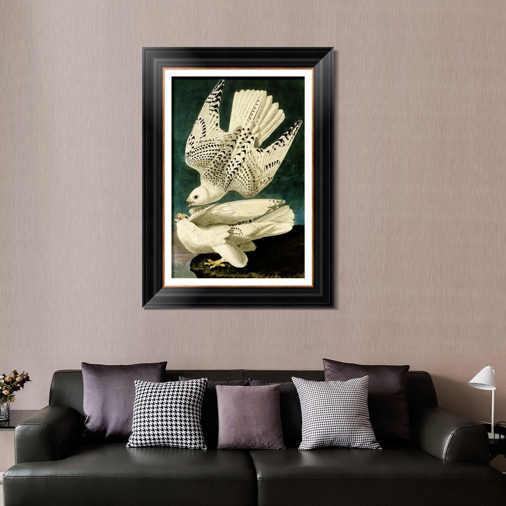 INVIN ART Framed Canvas Art Giclee Print Iceland or Jer Falcon by John James Audubon  Home Office Wall Art Decorations
