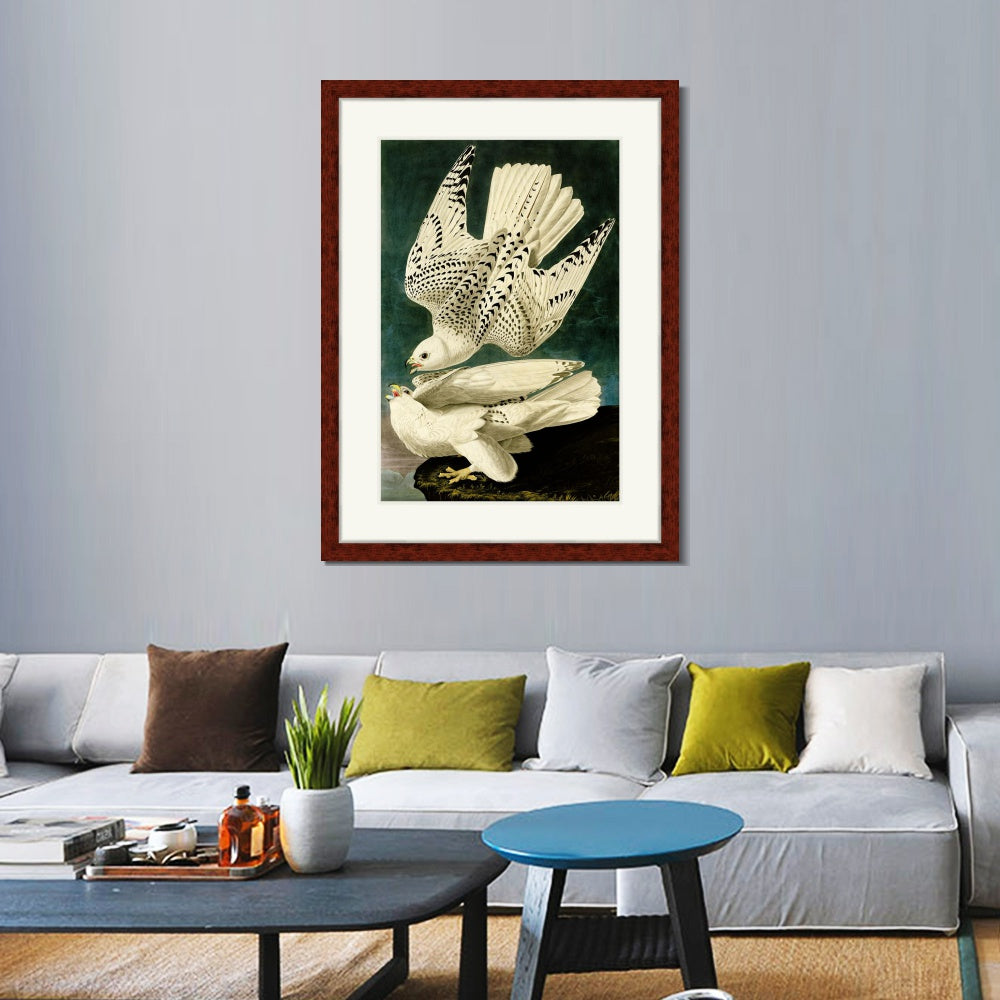 INVIN ART Framed Canvas Art Giclee Print Iceland or Jer Falcon by John James Audubon  Home Office Wall Art Decorations