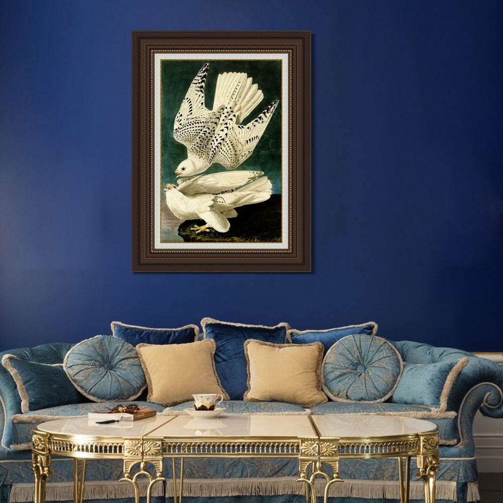 INVIN ART Framed Canvas Art Giclee Print Iceland or Jer Falcon by John James Audubon  Home Office Wall Art Decorations