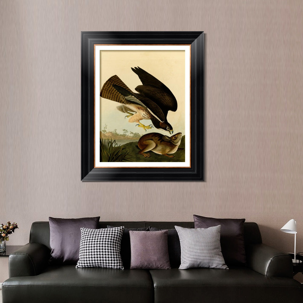 INVIN ART Framed Canvas Art Giclee Print Common Buzzard by John James Audubon  Home Office Wall Art Decorations