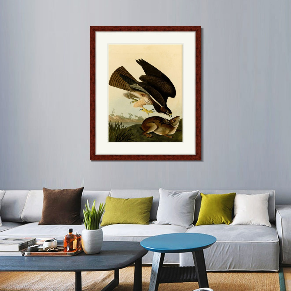 INVIN ART Framed Canvas Art Giclee Print Common Buzzard by John James Audubon  Home Office Wall Art Decorations