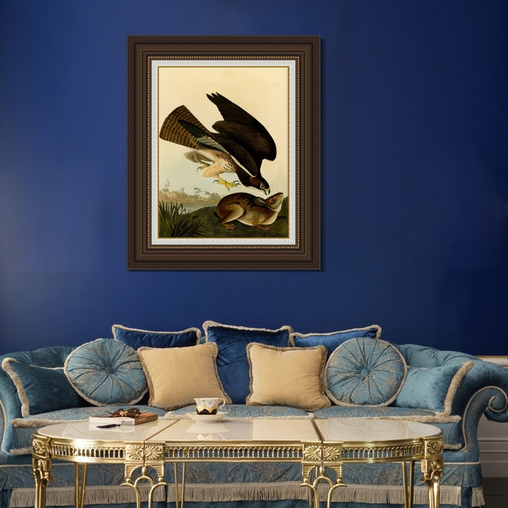 INVIN ART Framed Canvas Art Giclee Print Common Buzzard by John James Audubon  Home Office Wall Art Decorations