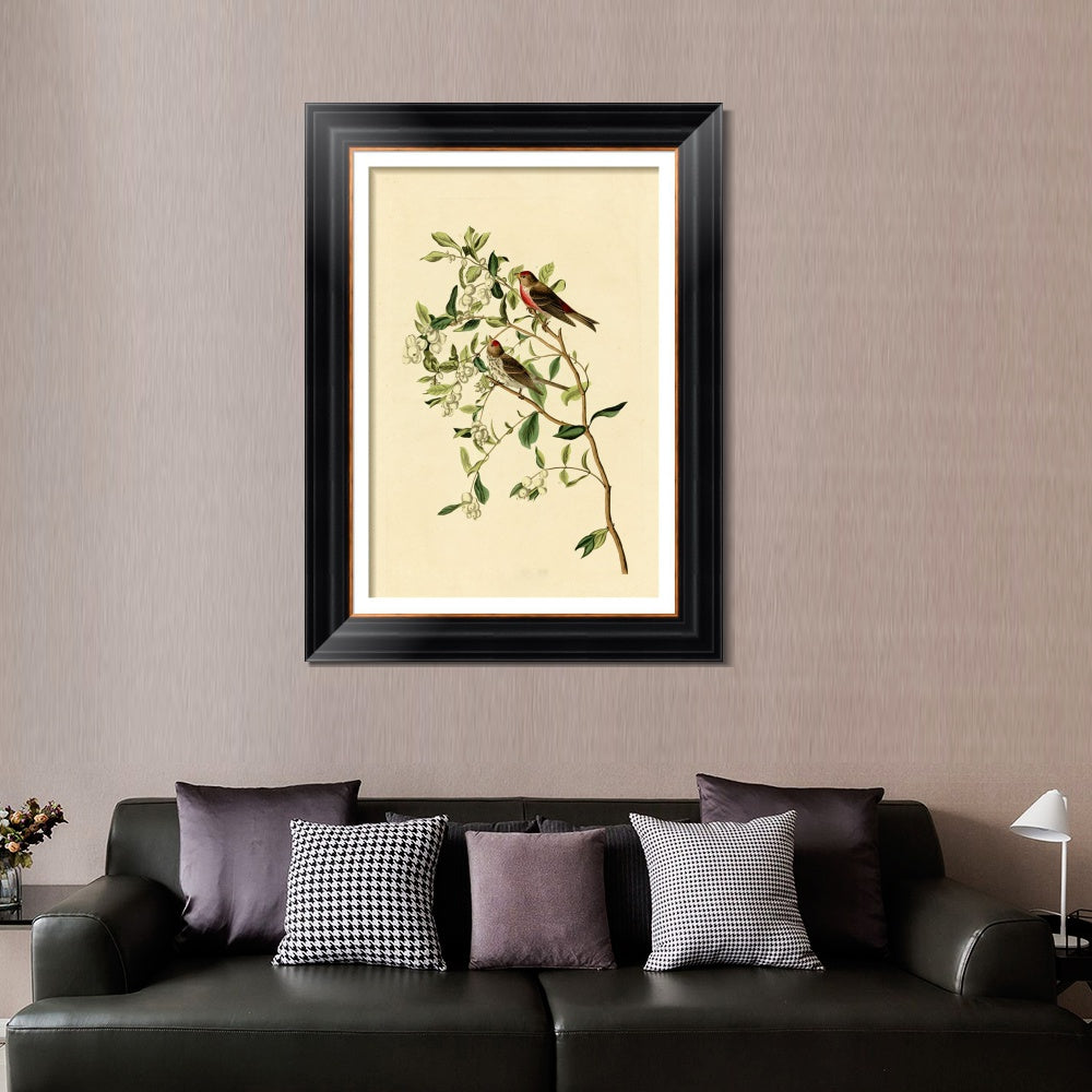 INVIN ART Framed Canvas Art Giclee Print Lesser Red Poll by John James Audubon  Home Office Wall Art Decorations