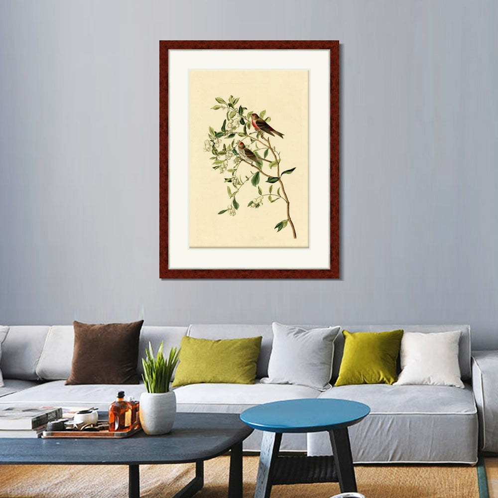 INVIN ART Framed Canvas Art Giclee Print Lesser Red Poll by John James Audubon  Home Office Wall Art Decorations