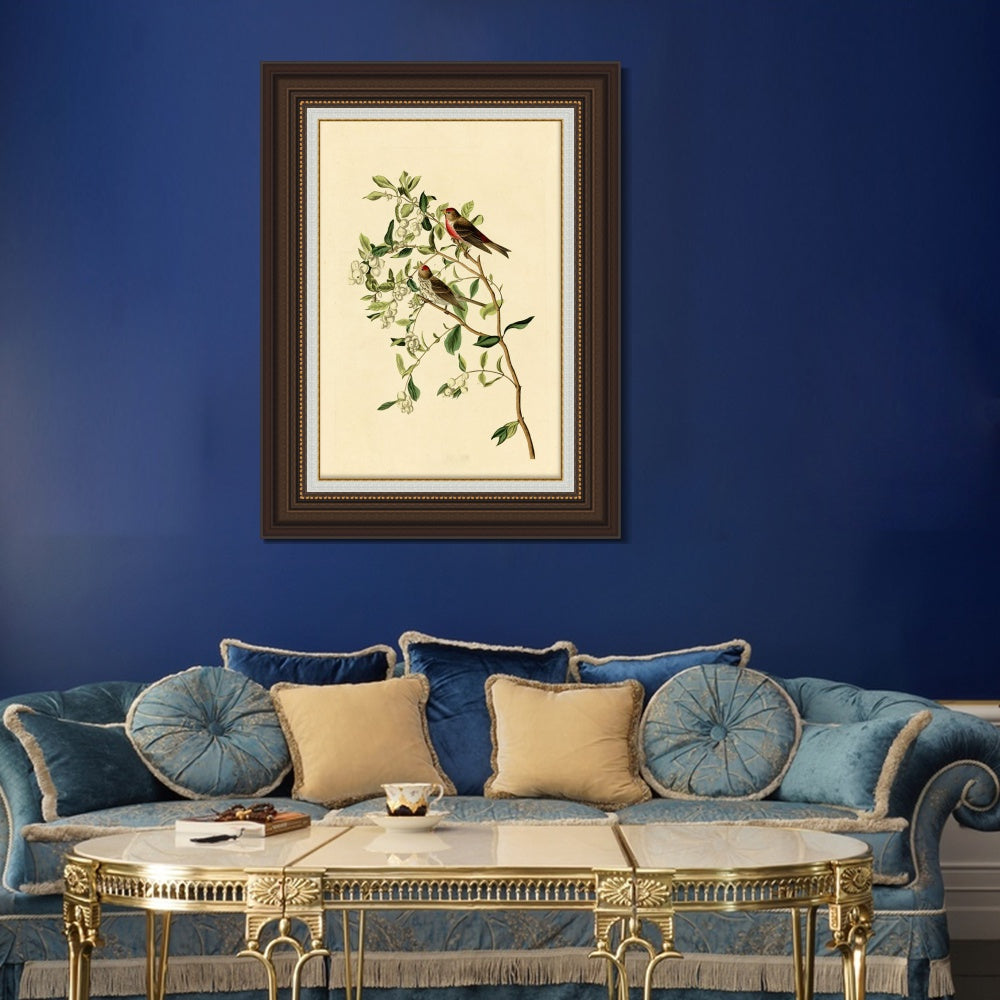 INVIN ART Framed Canvas Art Giclee Print Lesser Red Poll by John James Audubon  Home Office Wall Art Decorations