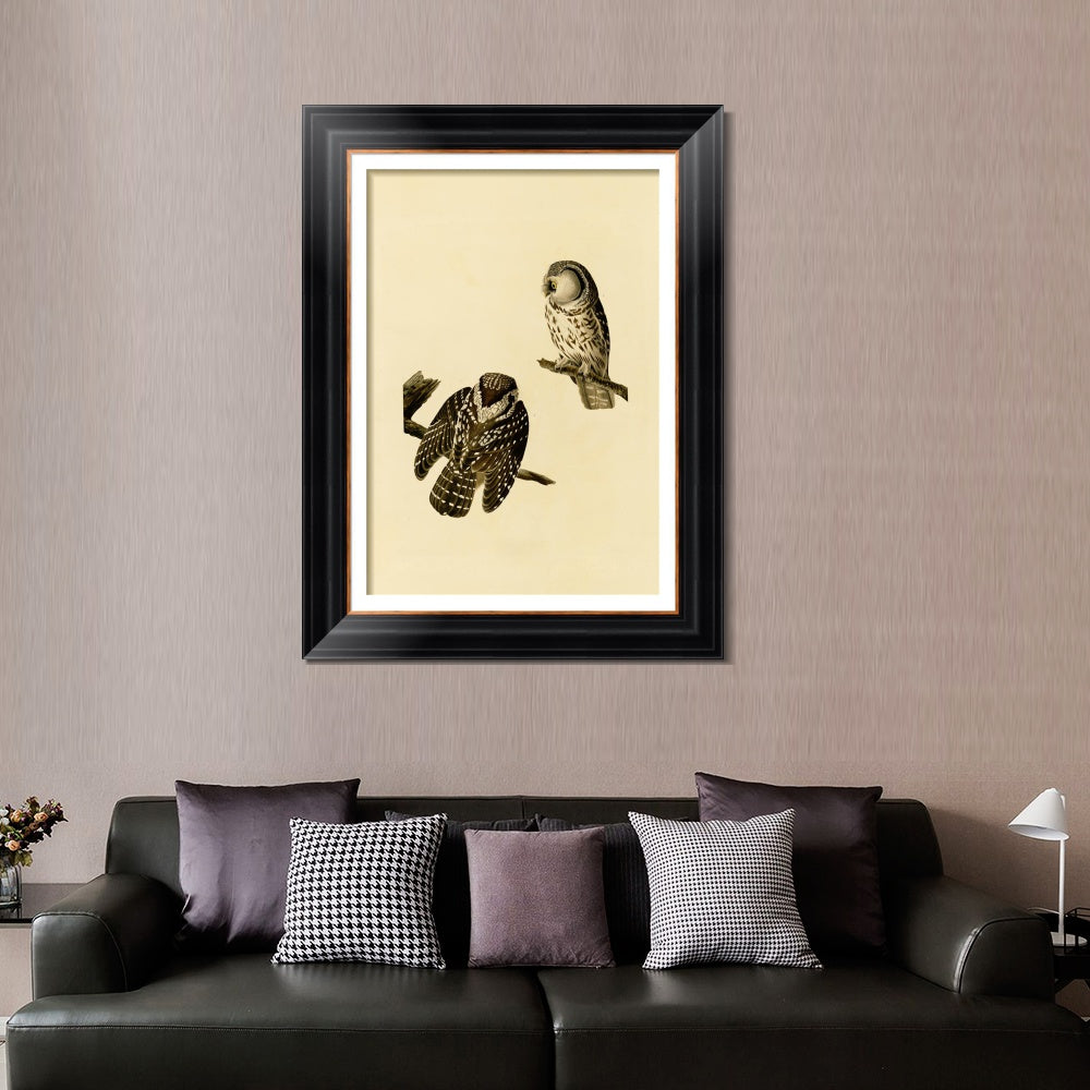 INVIN ART Framed Canvas Art Giclee Print Tengmalm's_Owl by John James Audubon  Home Office Wall Art Decorations