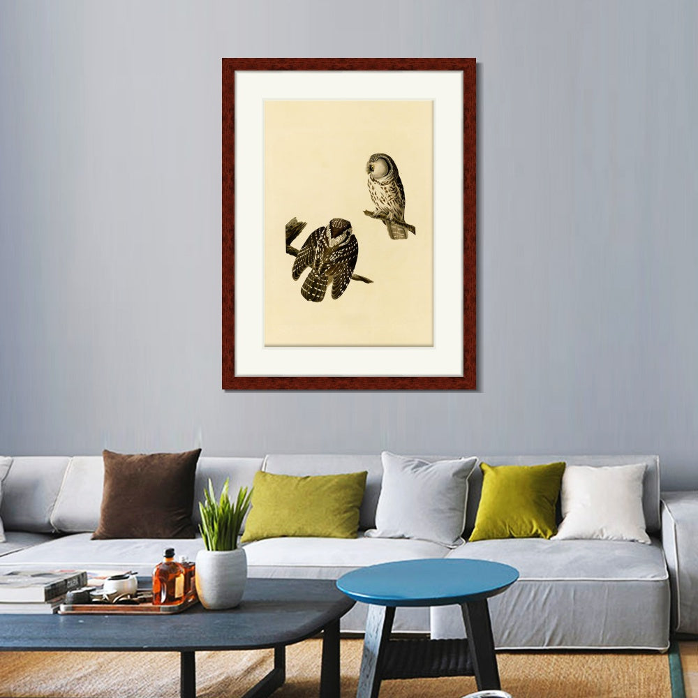 INVIN ART Framed Canvas Art Giclee Print Tengmalm's_Owl by John James Audubon  Home Office Wall Art Decorations