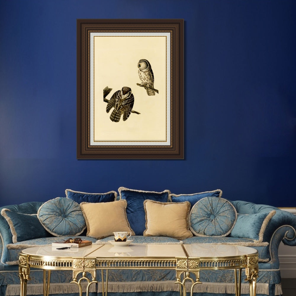 INVIN ART Framed Canvas Art Giclee Print Tengmalm's_Owl by John James Audubon  Home Office Wall Art Decorations