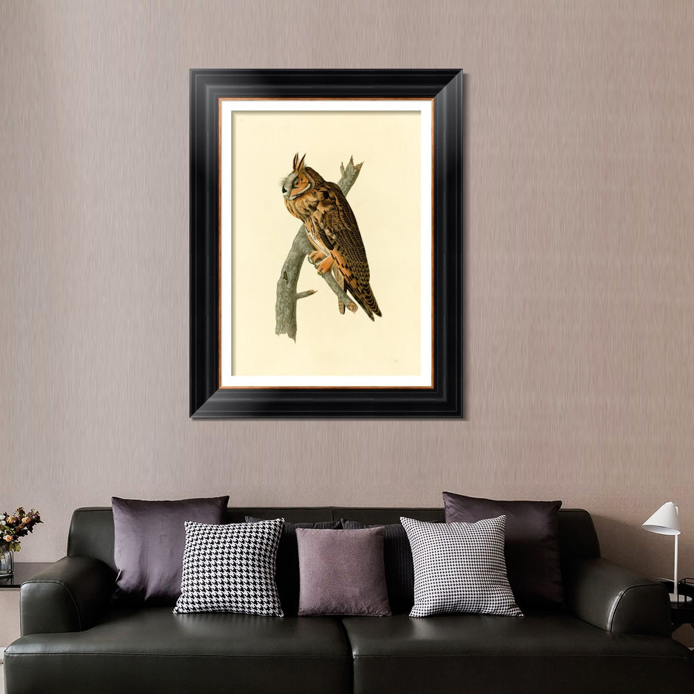 INVIN ART Framed Canvas Art Giclee Print Long eared Owl by John James Audubon  Home Office Wall Art Decorations